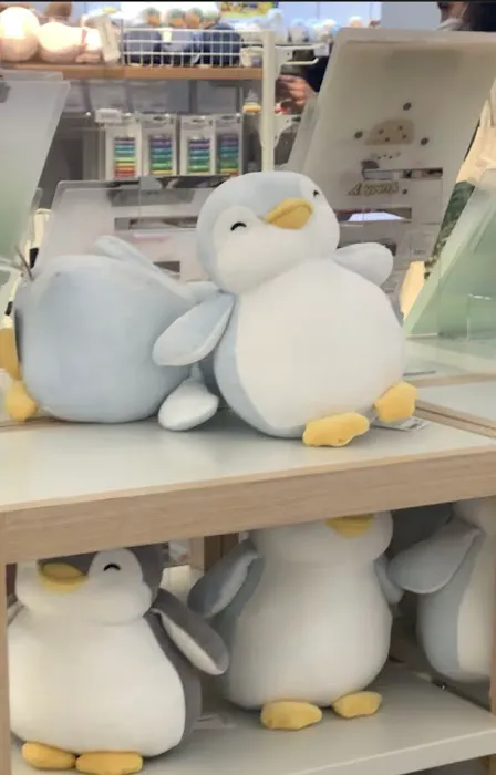 MINISO USA 7