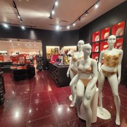 Victoria's Secret ico