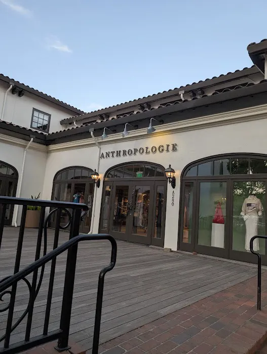 Anthropologie 9