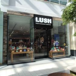 Lush Cosmetics Arden Fair ico
