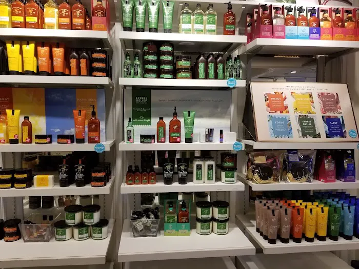 Bath & Body Works 8