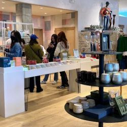 Anthropologie ico