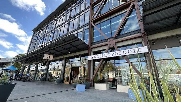 Anthropologie 4