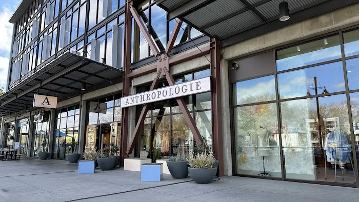 Anthropologie 7