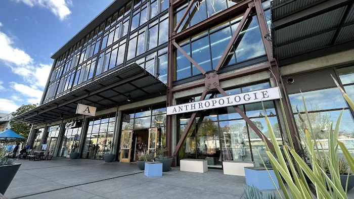 Anthropologie 8