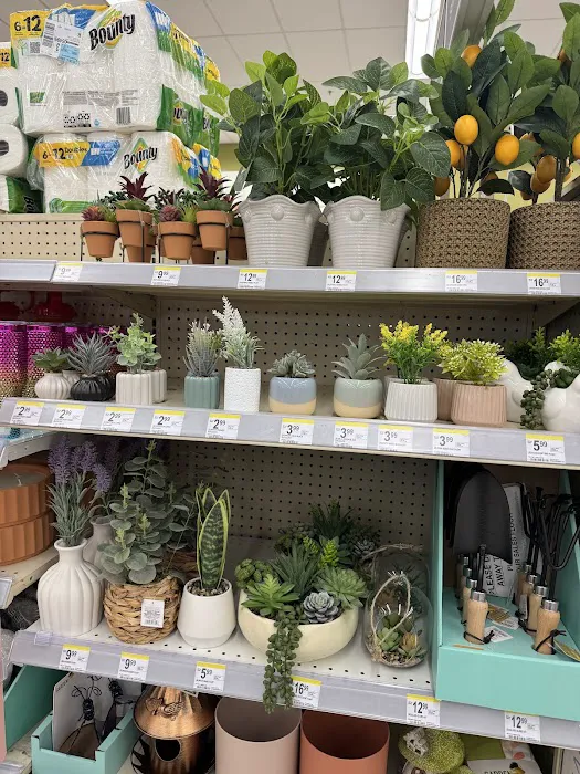 Walgreens 7