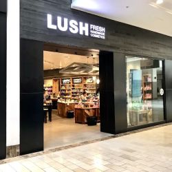 Lush Cosmetics Roseville Galleria ico