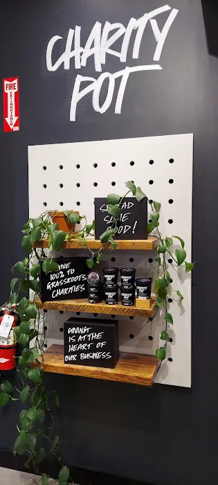 Lush Cosmetics Roseville Galleria 9