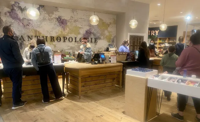 Anthropologie 2