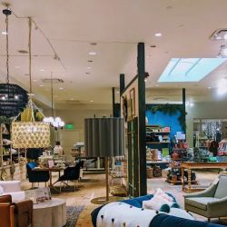 Anthropologie ico