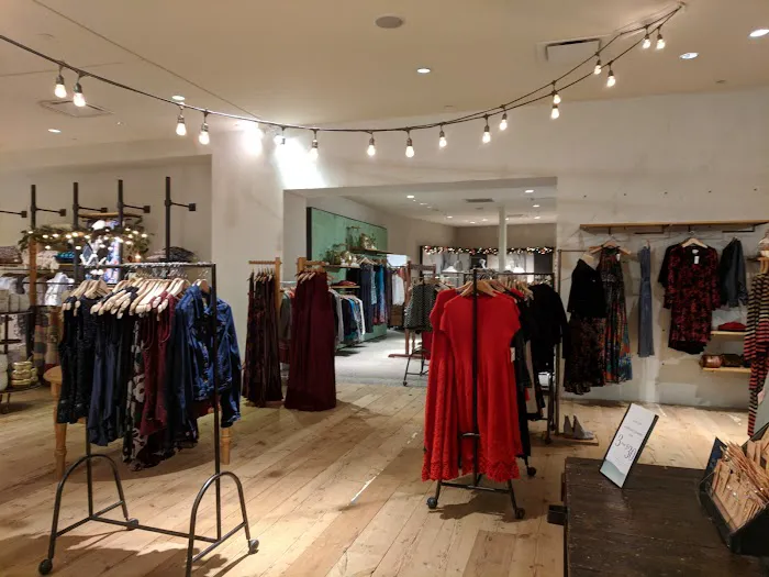 Anthropologie 3