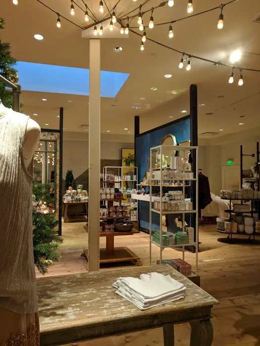 Anthropologie 4