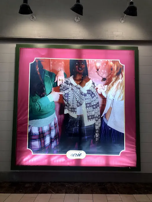 Aerie , OFFLINE Store 7