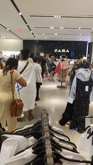 ZARA 8