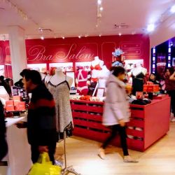 Victoria's Secret & PINK by Victoria's Secret ico
