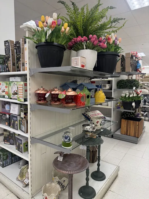 Marshalls 6