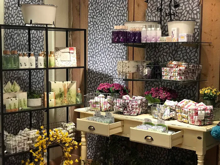 Terra Verde Boutique 9