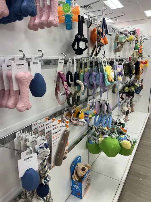 Kohl's 6