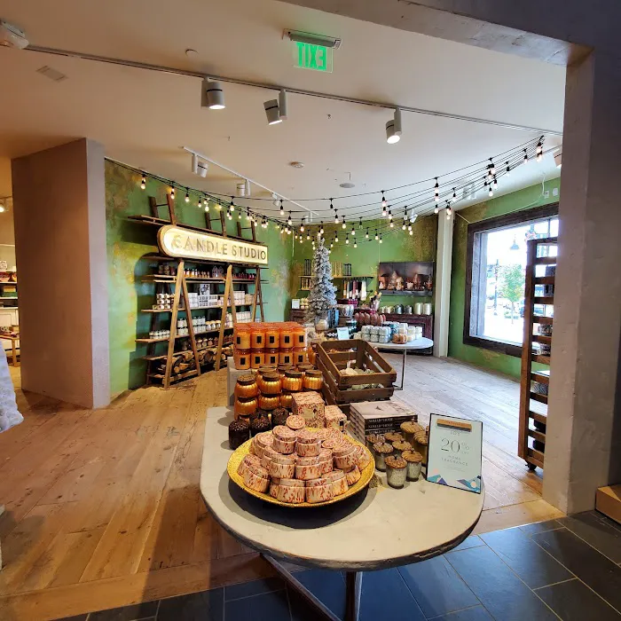 Anthropologie 0
