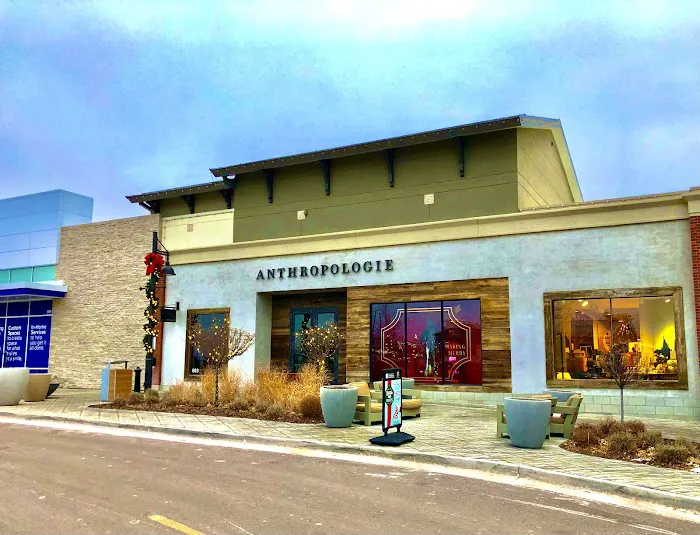 Anthropologie 1
