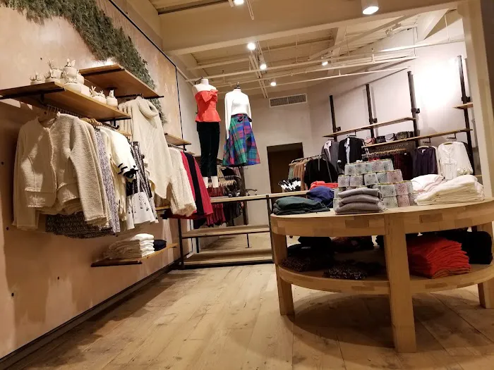 Anthropologie 2