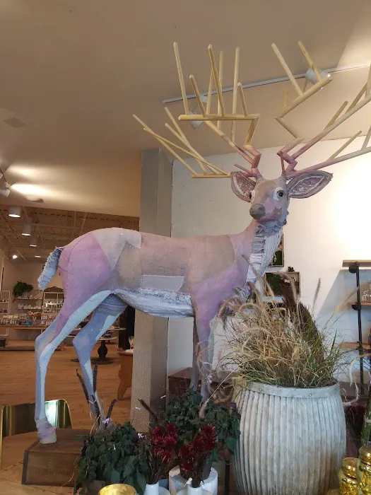 Anthropologie 5