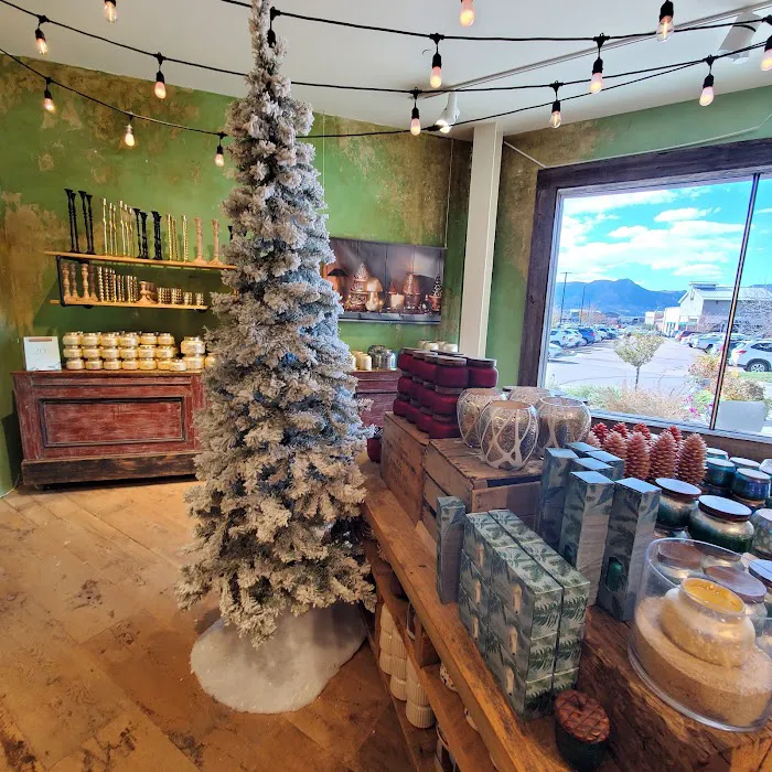 Anthropologie 4