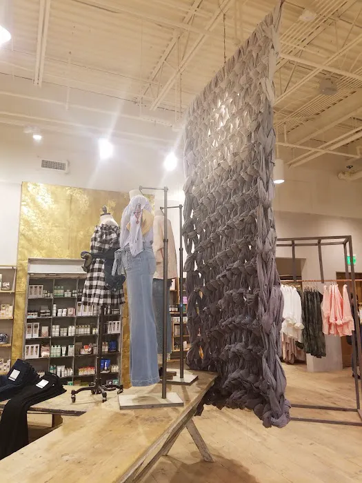 Anthropologie 3