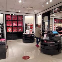 Victoria's Secret & PINK by Victoria's Secret ico