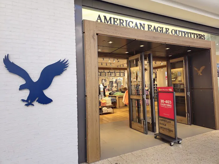 American Eagle 6