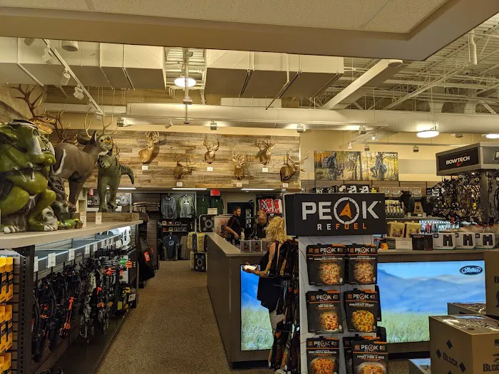 Scheels 4