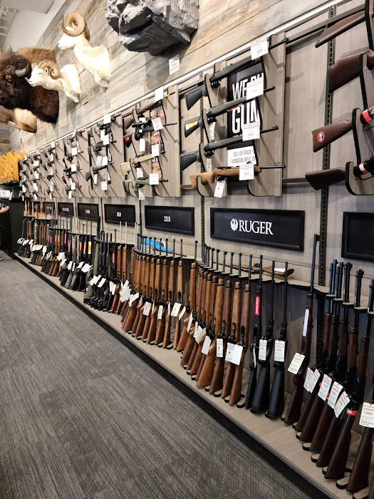 Scheels 7