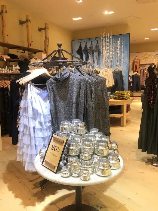 Anthropologie 1
