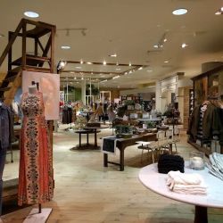 Anthropologie ico