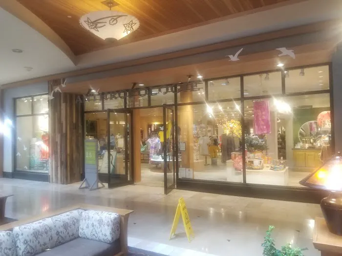 Anthropologie 2