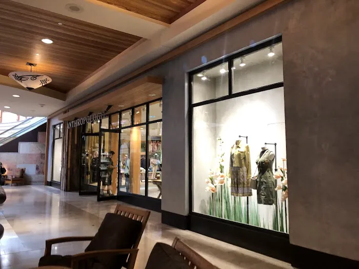 Anthropologie 3