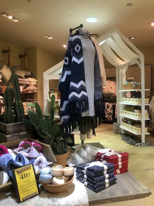 Anthropologie 5