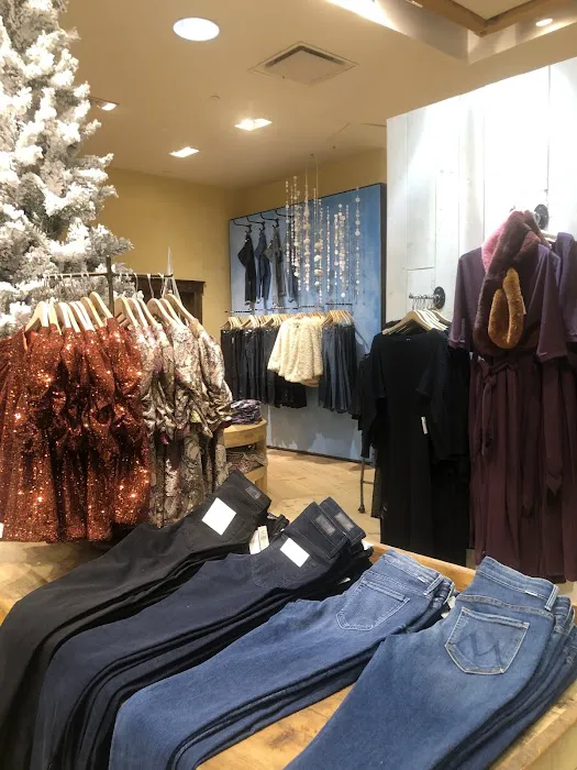 Anthropologie 8