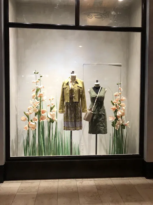 Anthropologie 9