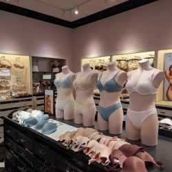 Victoria's Secret & PINK by Victoria's Secret ico