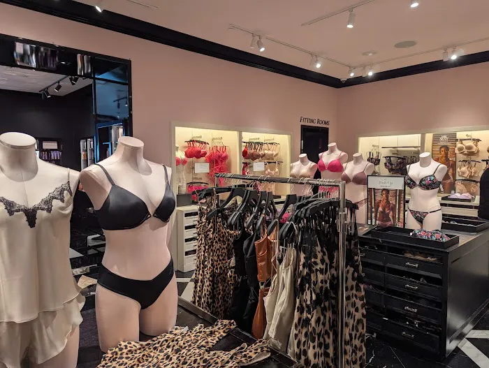 Victoria's Secret & PINK by Victoria's Secret 9