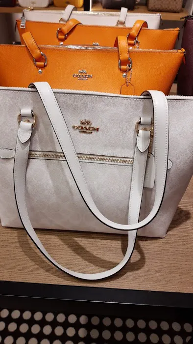 COACH Outlet 4