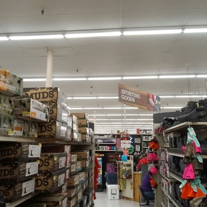 The Mart 7