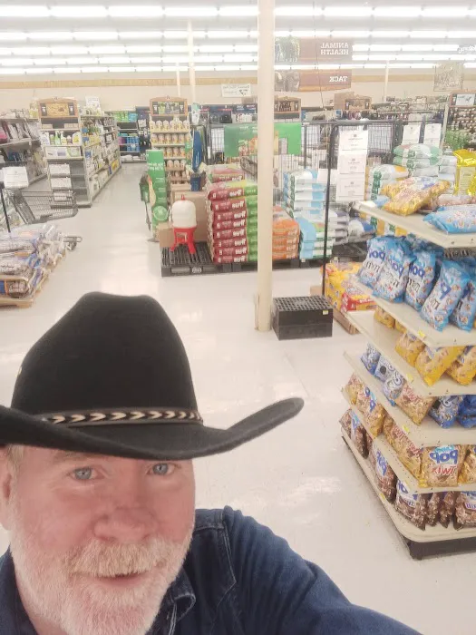 The Mart 6