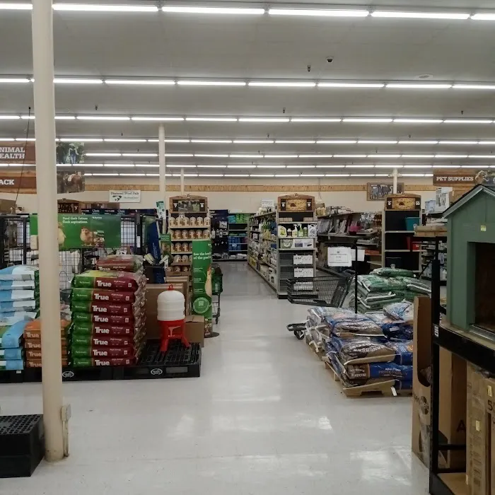 The Mart 9