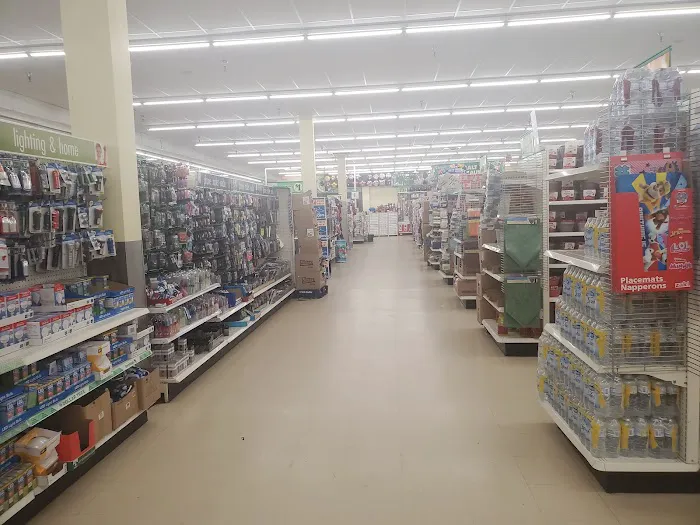 Dollar Tree 9
