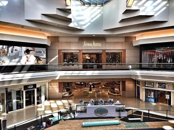 Neiman Marcus 6