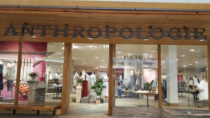 Anthropologie 0