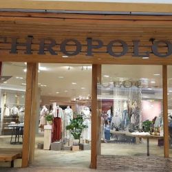 Anthropologie ico