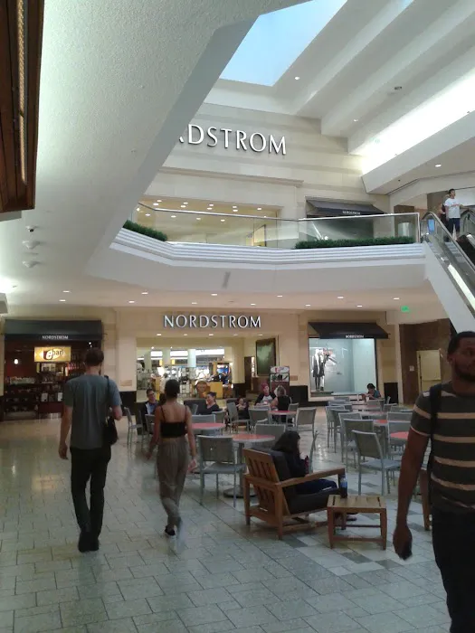 Anthropologie 2